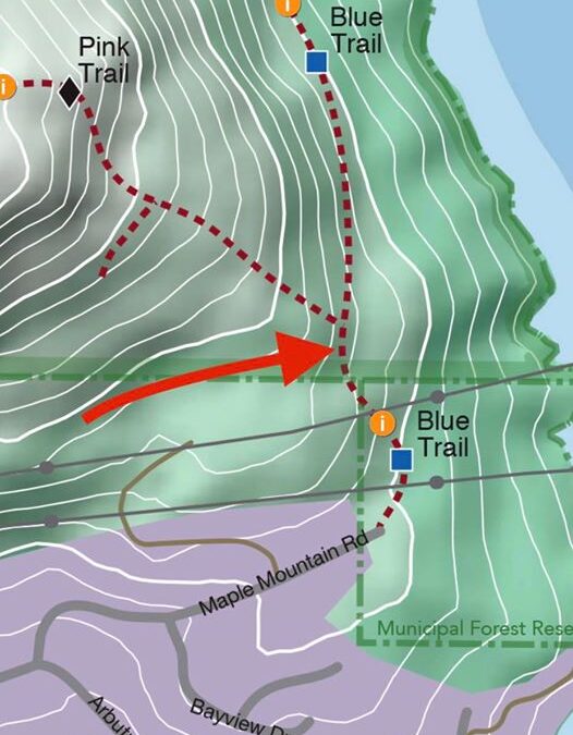 A warning for trail users of the Blue Trail on Maple Mountain.